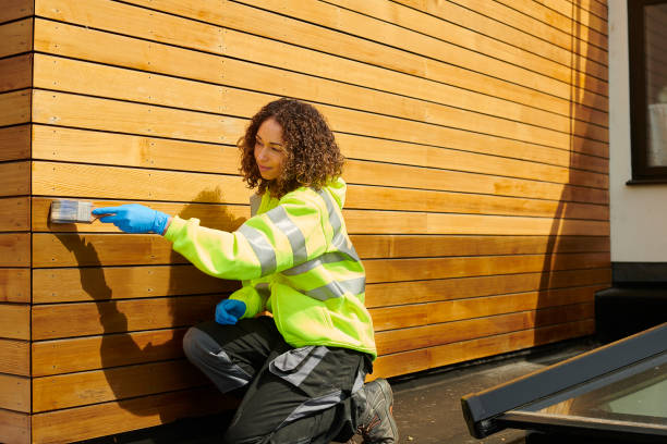 Professional Siding in Fruitland, NC